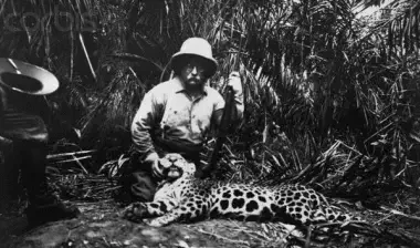 Teddy Roosevelt leaves presidency and visits Africa