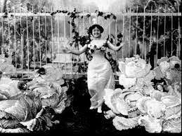 El hada de las coles