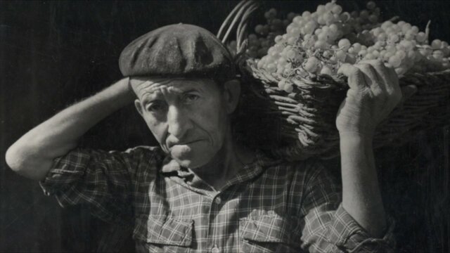 Ley de antirreforma agraria