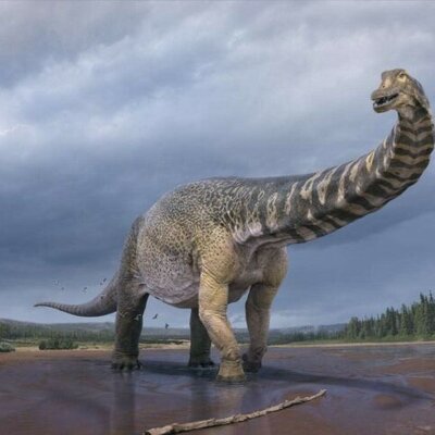 Timeline: Вимерлі тварини світу