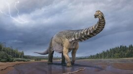 Timeline: Вимерлі тварини світу