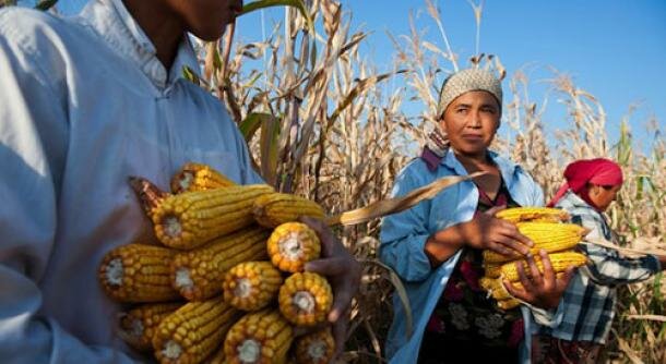 Subsidio al consumo de productos del campo