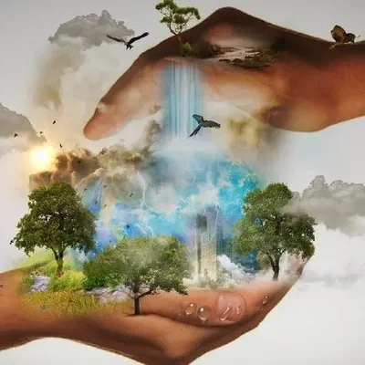 Timeline: Linea del tiempo