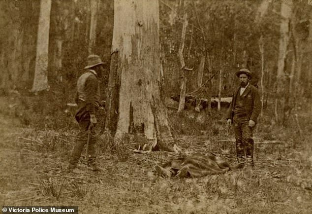 The date of the shootout at Stringybark Creek