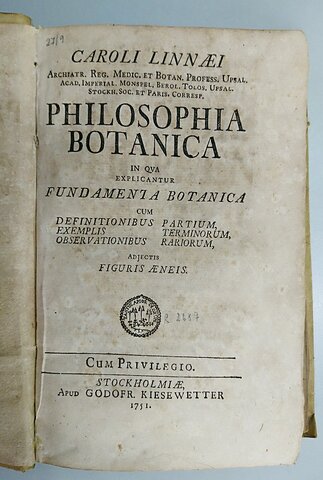 Segunda mitad del siglo XIX