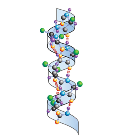 Segunda mitad del siglo XIX
