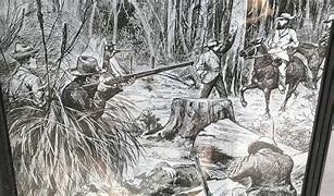 Shoot out at Stringy bark creek