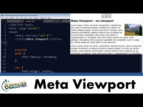 Apareció el concepto de meta Viewport