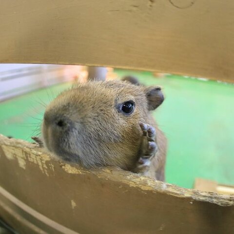 Primer día de clases de Carlos Jose Argüello