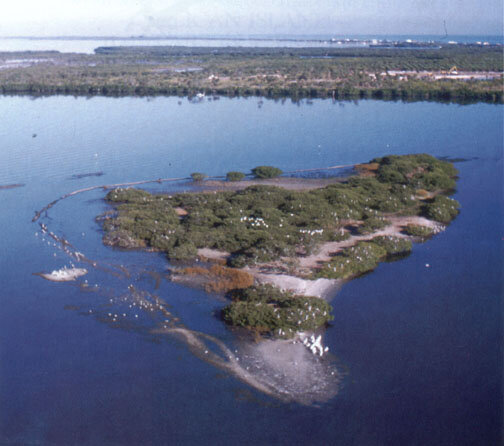 Pelicans Island