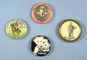 Theodore wins first presidency