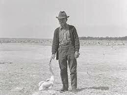 Pelican Island, Florida named first national wildlife refuge