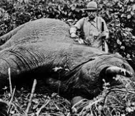 Leaves presidency, visits Africa