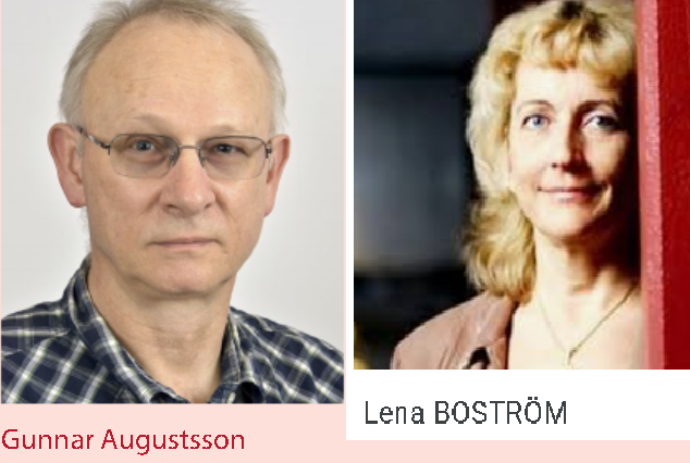 Augustsson y Boström (2016)