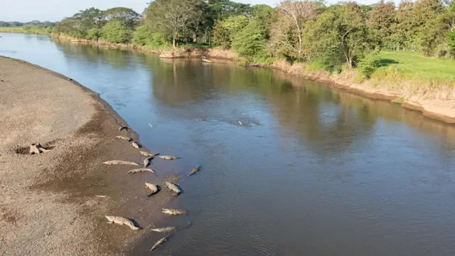 Se inicia con una campaña de recolección de basura en el río Tárcoles.