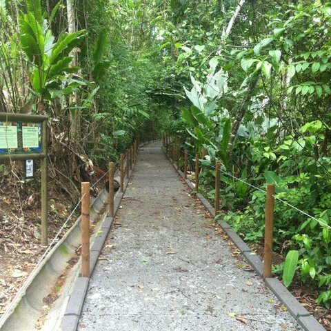 Se crea "Un parque para todos"