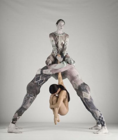 Pilobolus Formed