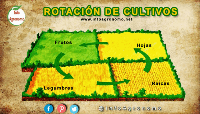 la rotación de cultivos