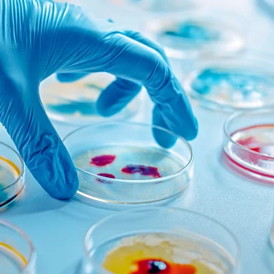 Timeline: Tratados y Avances Biotecnológicos