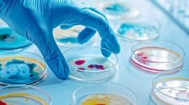 Timeline: Tratados y Avances Biotecnológicos