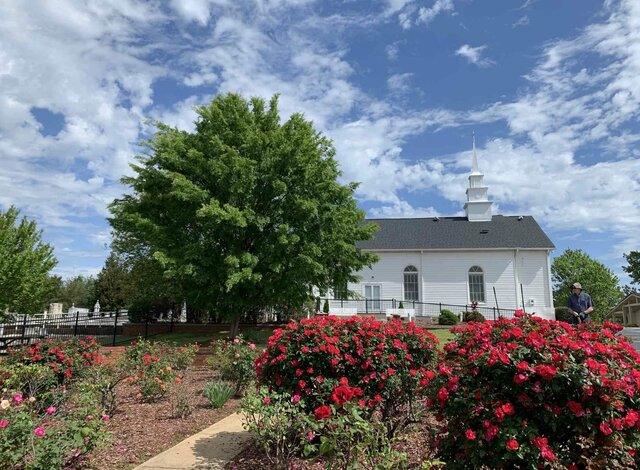 Rose Garden established by Dr. Fred Moss