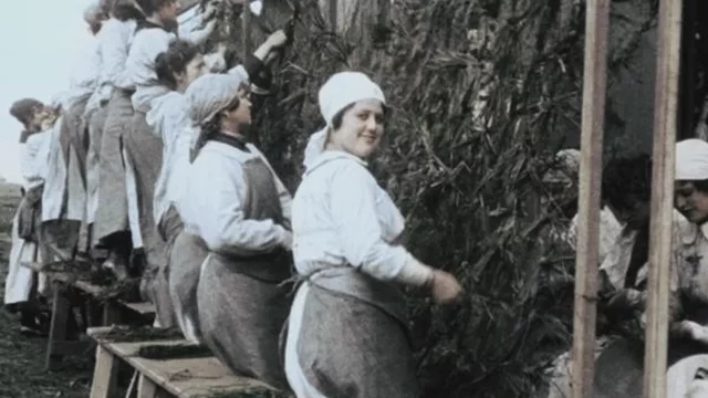 La movilización de las mujeres