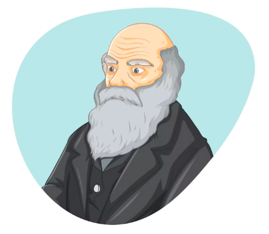 Juan Calvino