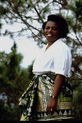 Bélgica y la ONU retiran sus fuerzas