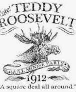 Runs for presidency, unsuccessfully for Bull-Moose Party