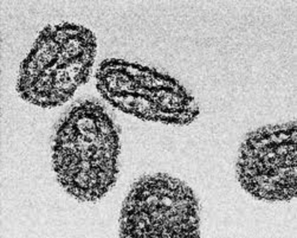 An eqidemic of smallpox, brought by Europeans, kills many native Americans on the New England coast.