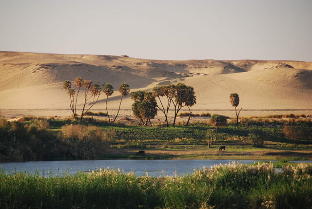 La agricultura de regadío en Egipto