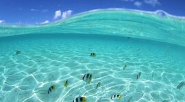 Timeline: U.S. Imperialism: Hawaii