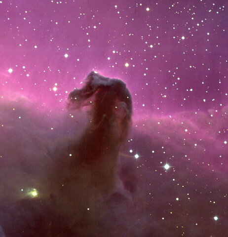 discovered the Horsehead Nebula