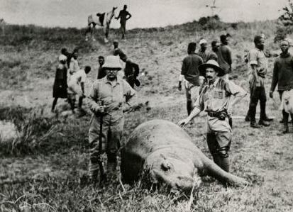 Expedition to Africa