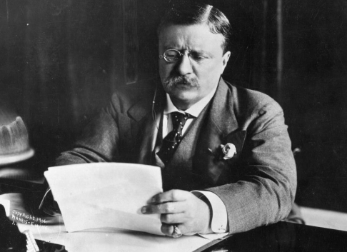 Roosevelt named president