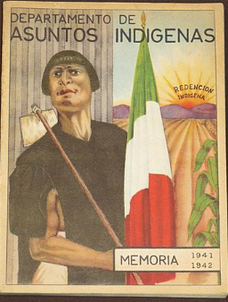 Departamento de Asuntos Indígenas