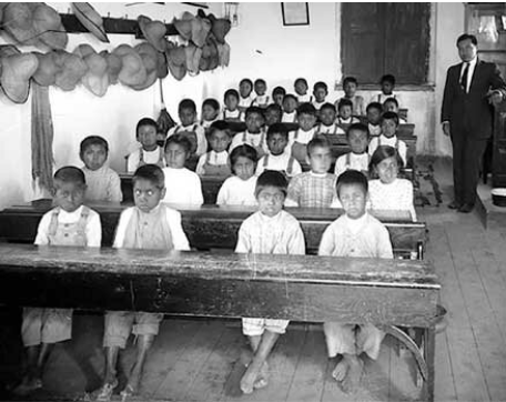 Artículo 3º: Laica, Nacional y democrática.