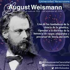 1884 August Weismann- Celulas Sexuales