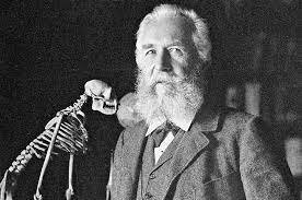 1869 - Ernst Haeckel - ECOLOGÍA