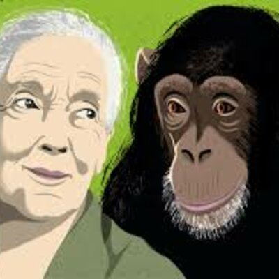 Timeline: Jane Goodall's life