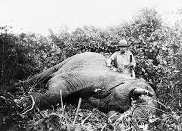 Roosevelt's trip to africa