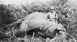 Teddy Leaving Presidency and Visits Africa