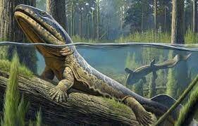 First amphibians 419 Ma