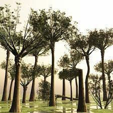 Apparition of great trees 358 Ma