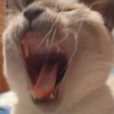 Timeline: Generación de las computadoras