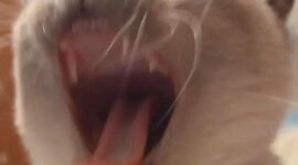 Timeline: Generación de las computadoras