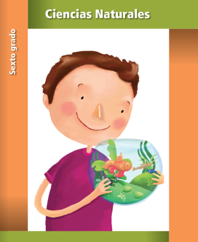 5º Generación de Libros de texto