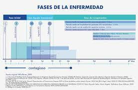 Fases de la enfermedad