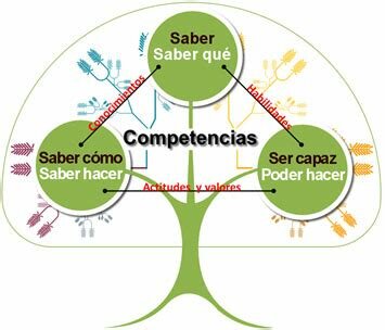 Se establece el aprendizaje por competencias