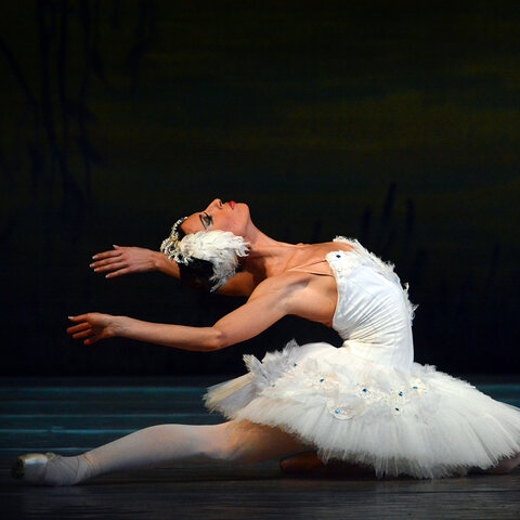 EL LAGO DE LOS CISNES